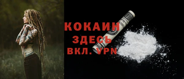 МДПВ Семёнов